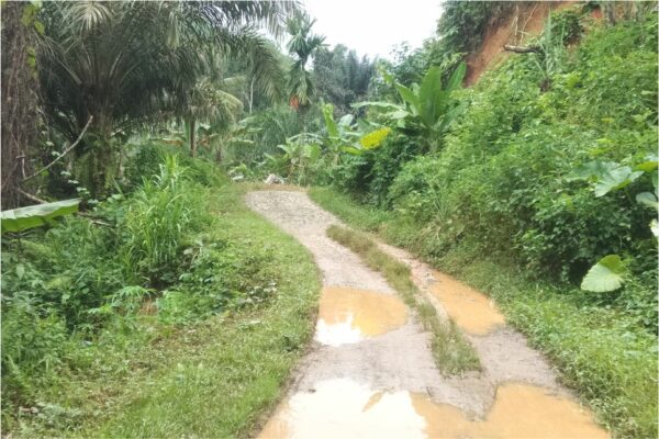 Jalan Penghubung Desa Aek Natas Dengan Desa Dolok Godang Butuh Perhatian Pemkab Tapsel1
